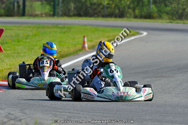 DSC_ (1030).jpg